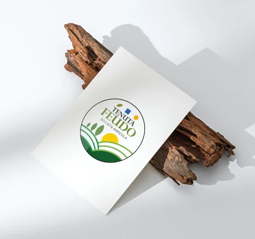 logo design